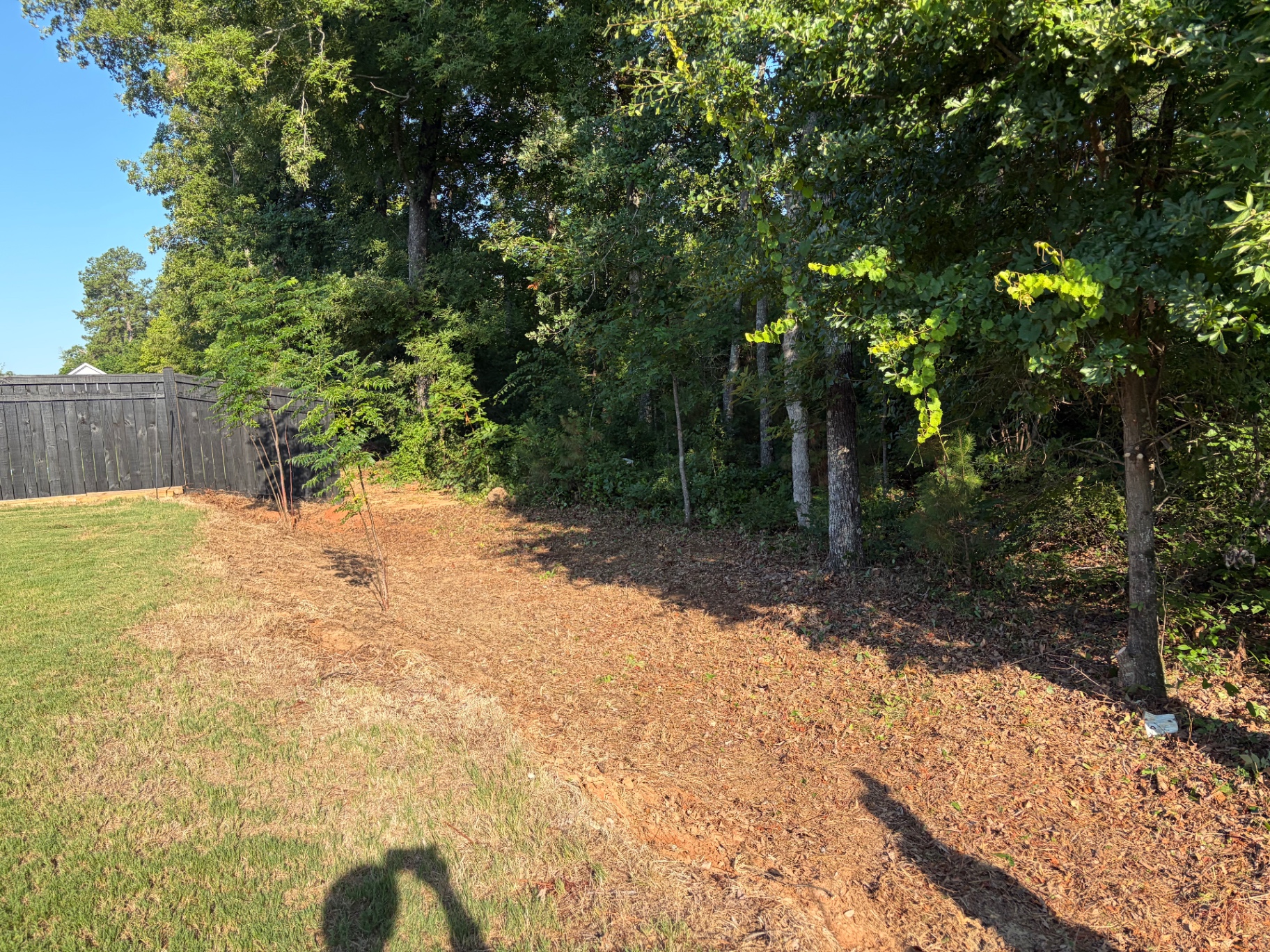 Cleared and cleaned up brush by RC Landscaping — job 2