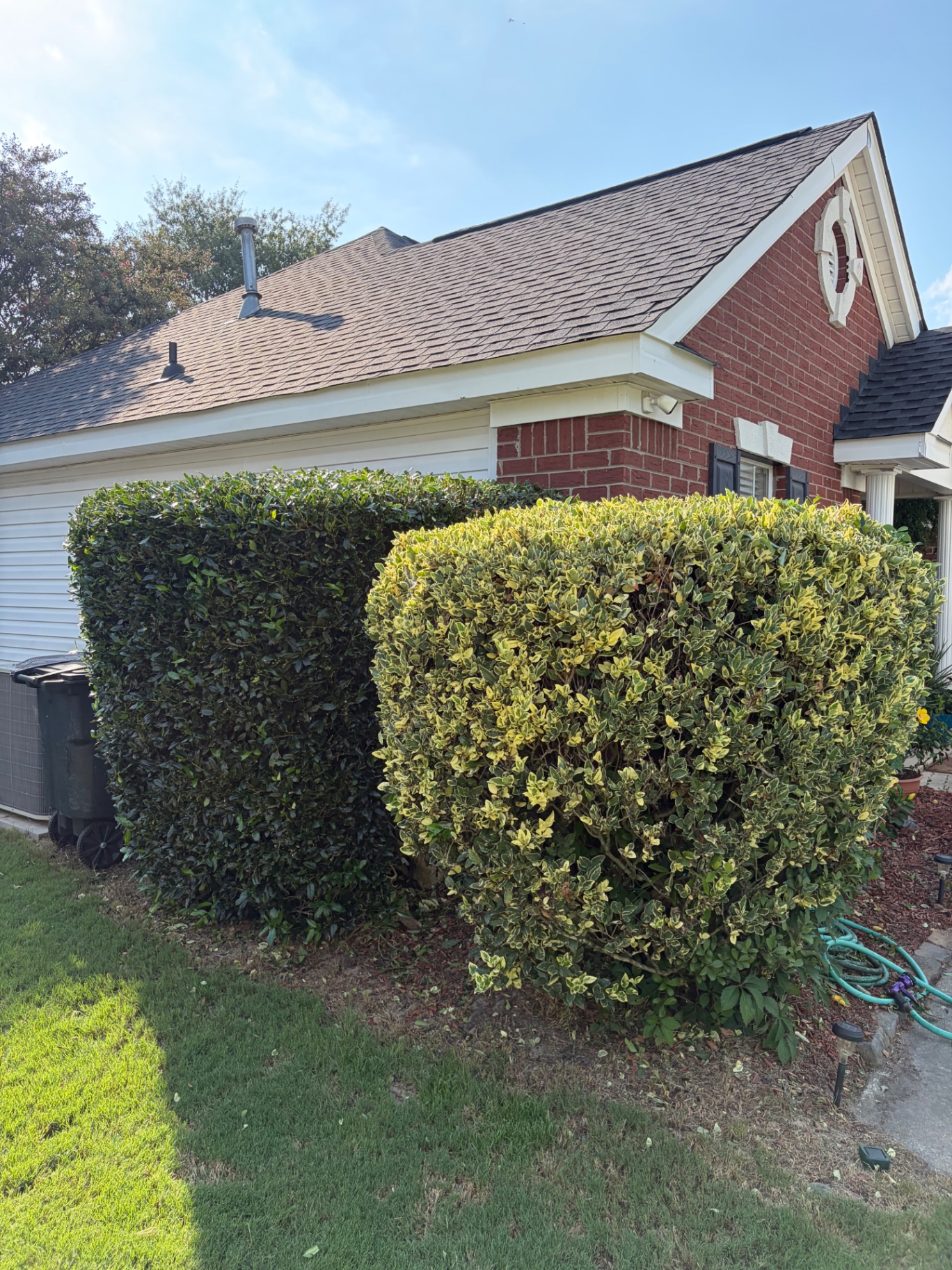 Hedge and shrubbery trimming by RC Landscaping — job 7