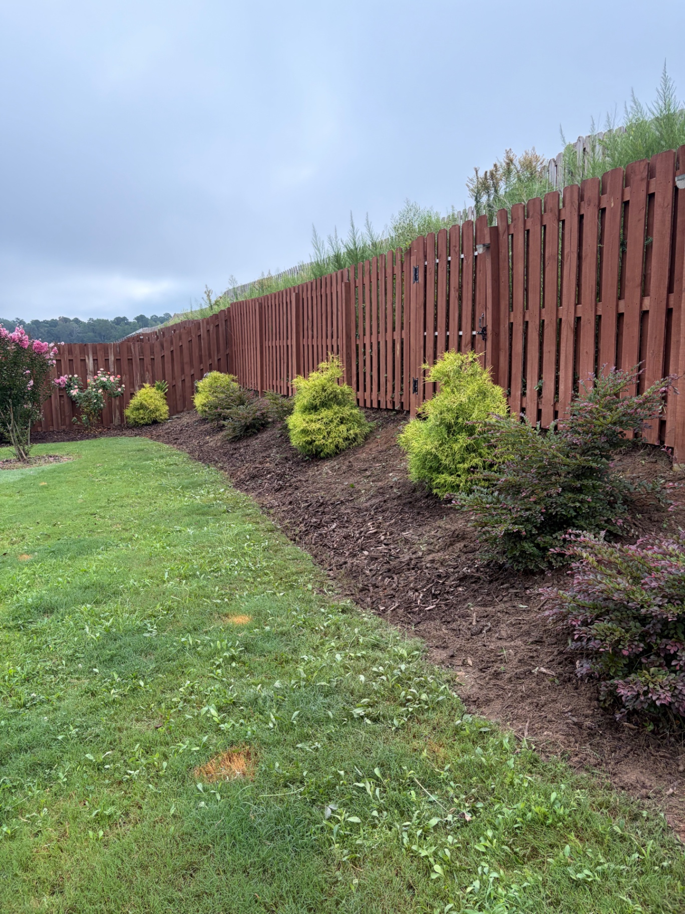 Garden bed weeded and freshly mulched by RC Landscaping