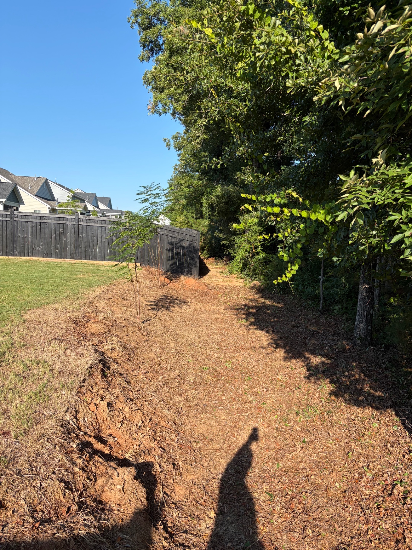 Cleared and cleaned up brush by RC Landscaping — job 1