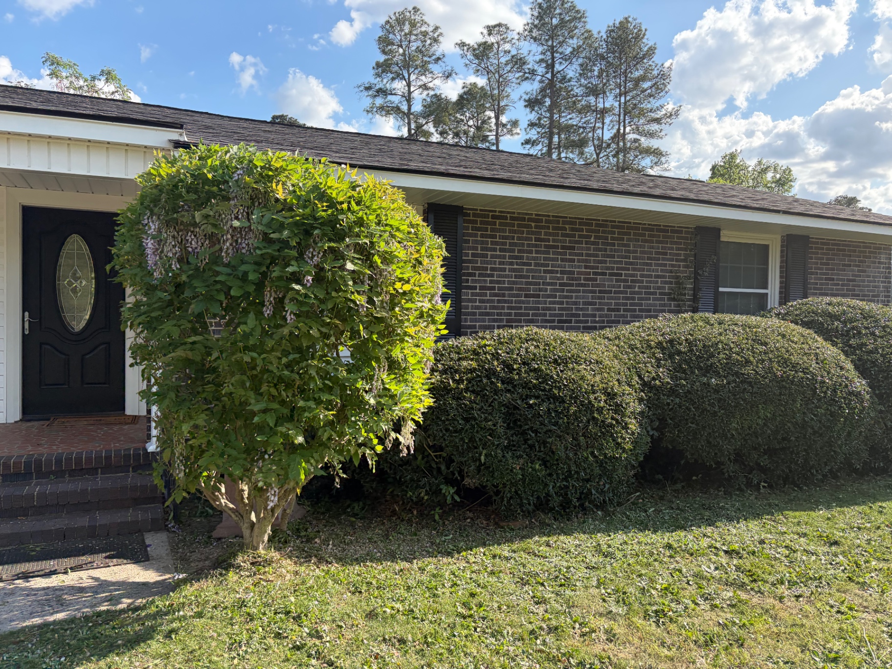 Hedge and shrubbery trimming by RC Landscaping — job 5