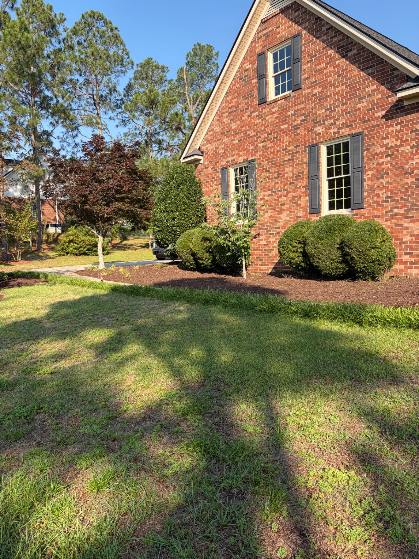 Hedge and shrubbery trimming by RC Landscaping — job 2