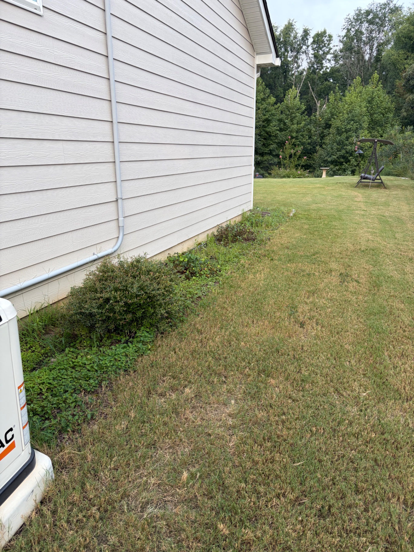 Overgrown weeds along a house wall before clearing by RC Landscaping