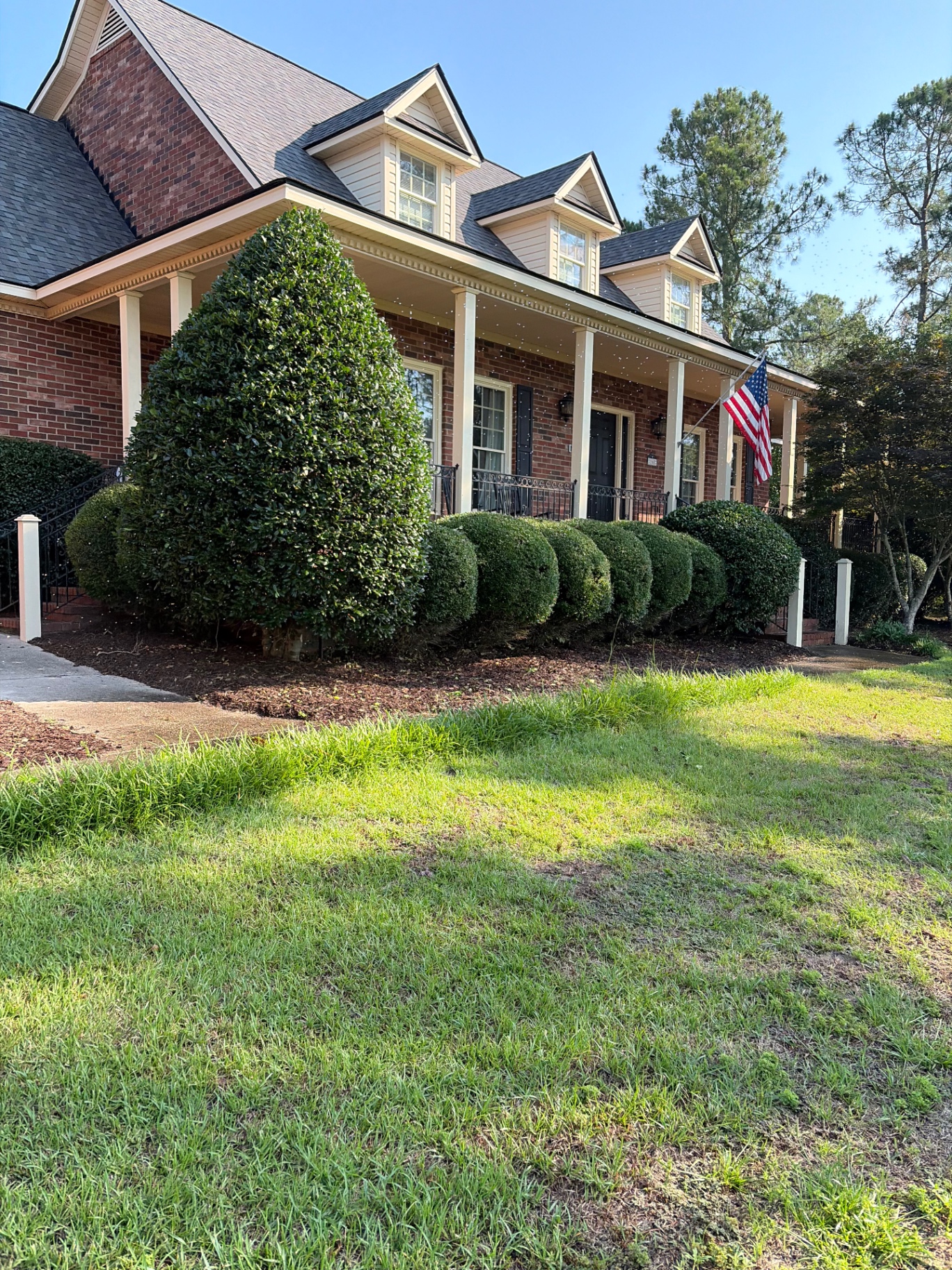 Hedge & Shrubbery Trimming